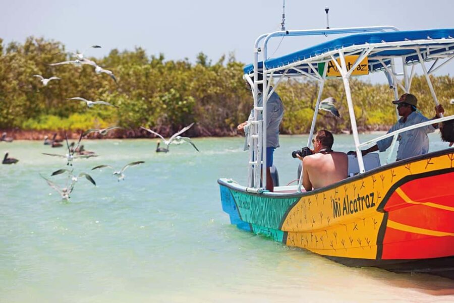 Holbox: Traditional Fishing Tour with Ceviche Tasting - Starting Point at VIP Holbox and Meeting Details