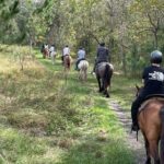 Horseback Ride on Scenic Lake Louisa Trails - The Trail Experience Through Lake Louisa State Park