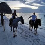 Horseback Riding on the Beaches of Holbox - Starting Point at Los Potrillos Holbox Horseback Riding