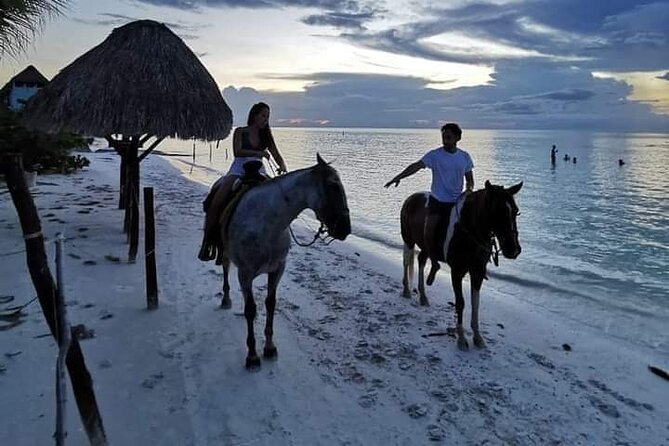Horseback Riding on the Beaches of Holbox - Starting Point at Los Potrillos Holbox Horseback Riding