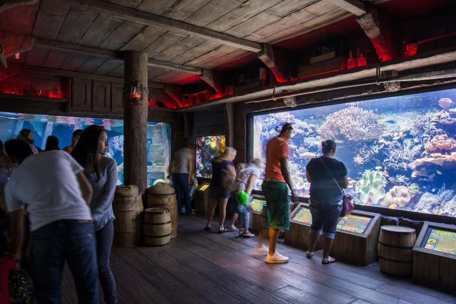 Houston: Downtown Aquarium All Day Pass - Location and Access at Downtown Houston