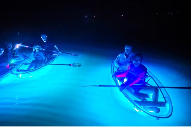 Inclusive Glass Boat Rental Peanut Island Snorkel Gear & Snacks - Snorkel Gear for Vibrant Underwater Exploration