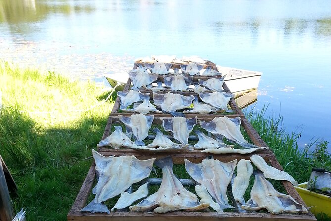 Irish Loop to Ferryland Tour - Bauline East: A Tranquil Coastal Village