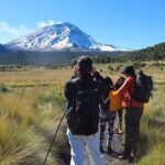 Iztaccihuatl Volcano Tour from Mexico City - The Unique Setting of Izta Popo National Park