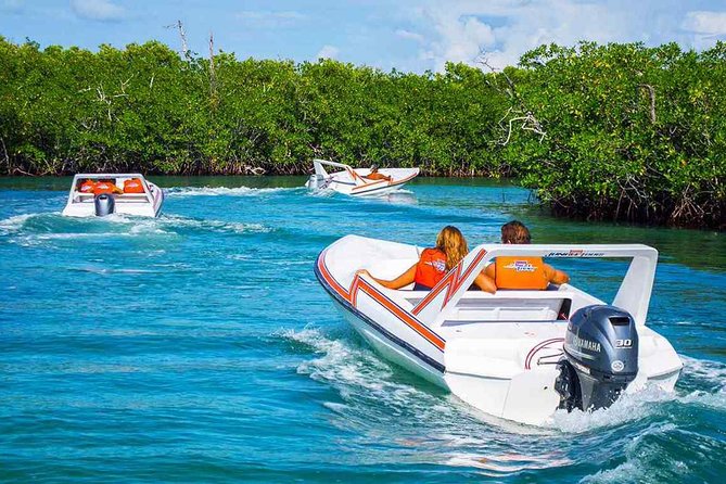 Jungle Tour - The Speedboat Ride Through Nichupte Lagoon
