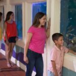 Key West Aquarium Tickets - Watching Shark and Turtle Feedings