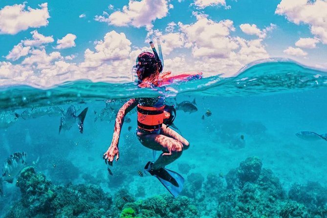 Live this unique snorkeling experience. El Cielo in Cozumel a magical tour. - Starting Point and Duration