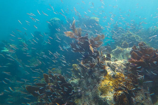 Luxury Sandbar and Snorkeling trip in Key West - Inside the Stylish Still Dreamin Boat