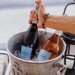 Luxury Shared Miami River E-Boat Cruise with Wine and Charcuterie - Wildlife Encounters: Manatees and Natural Habitats