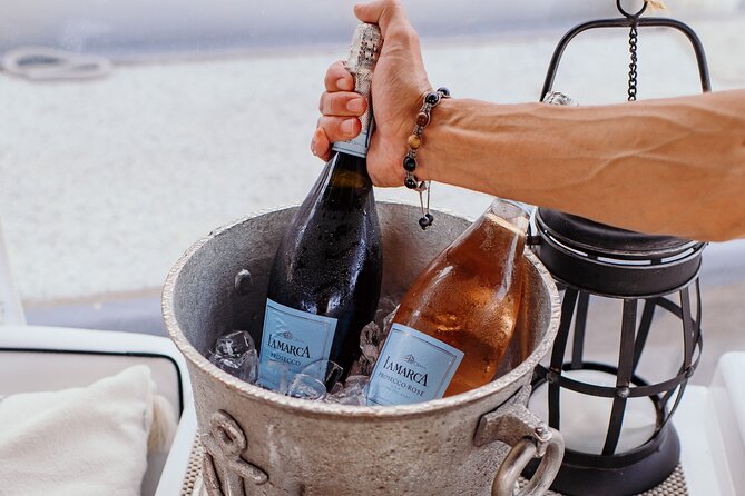 Luxury Shared Miami River E-Boat Cruise with Wine and Charcuterie - Wildlife Encounters: Manatees and Natural Habitats