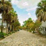 Magnolia Plantation Tour with transportation PLUS City Bus Tour - Exploring Magnolia Plantation & Gardens for 4.5 Hours