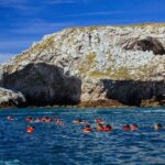 Marietas Islands Snorkeling Adventure with Open Bar and Lunch - Snorkeling in Vibrant Coral Reefs and Tropical Fish