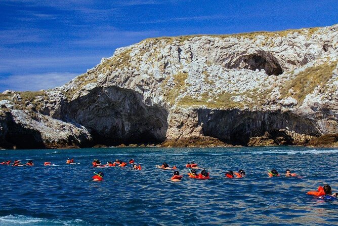 Marietas Islands Snorkeling Adventure with Open Bar and Lunch - Snorkeling in Vibrant Coral Reefs and Tropical Fish