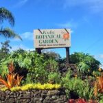 Maui Haleakala Volcano Summit Slingshot Tour from Kihei - Starting Point and Tour Logistics in Kihei