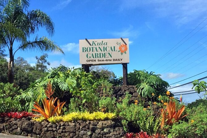 Maui Haleakala Volcano Summit Slingshot Tour from Kihei - Starting Point and Tour Logistics in Kihei