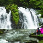 Mendenhall Lake Kayak and Salmon Bake Adventure - Starting Point and Transportation Logistics