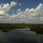 Miami: Original Everglades Airboat Tour & Interpretive area - Starting Point at Coopertown Everglades