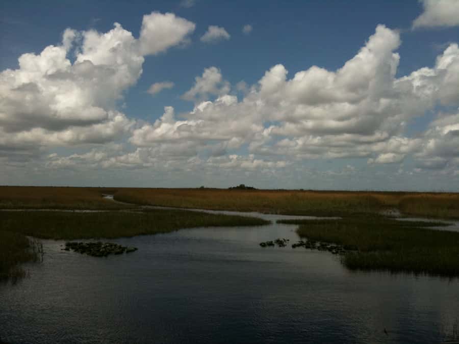 Miami: Original Everglades Airboat Tour & Interpretive area - Starting Point at Coopertown Everglades