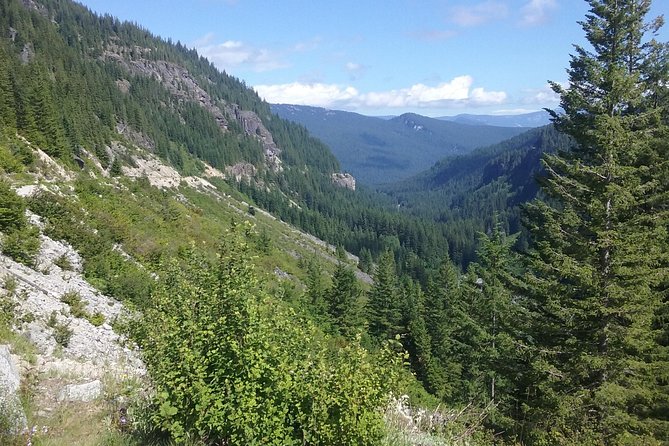 Mt Rainier Private Tour Experience in SUV - Visiting Lesser-Known Sights and Waterfalls