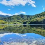 MTB Guided Ride, Tule Tree & Lake Half-Day - Starting Point: Downtown Oaxaca and Initial Cycling to Santo Domingo Tomaltepec