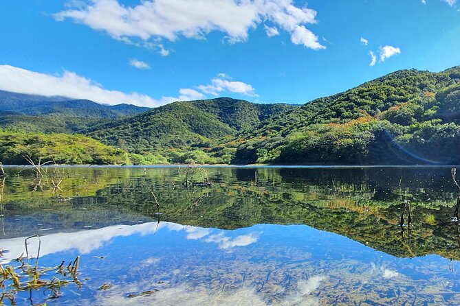 MTB Guided Ride, Tule Tree & Lake Half-Day - Starting Point: Downtown Oaxaca and Initial Cycling to Santo Domingo Tomaltepec