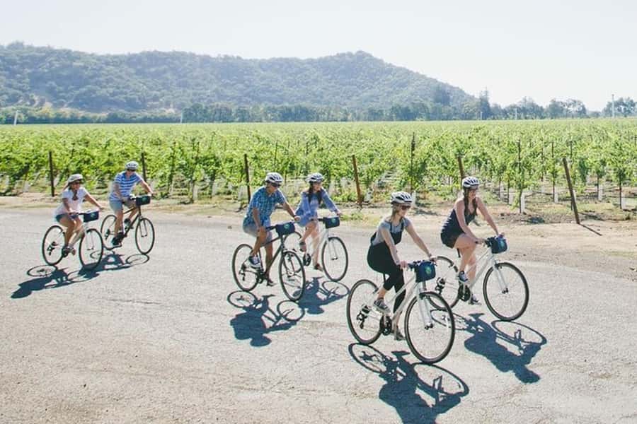 Napa Valley: Scenic E-Bike Tour (No Wineries) - Exploring the Napa Valley Vine Trail