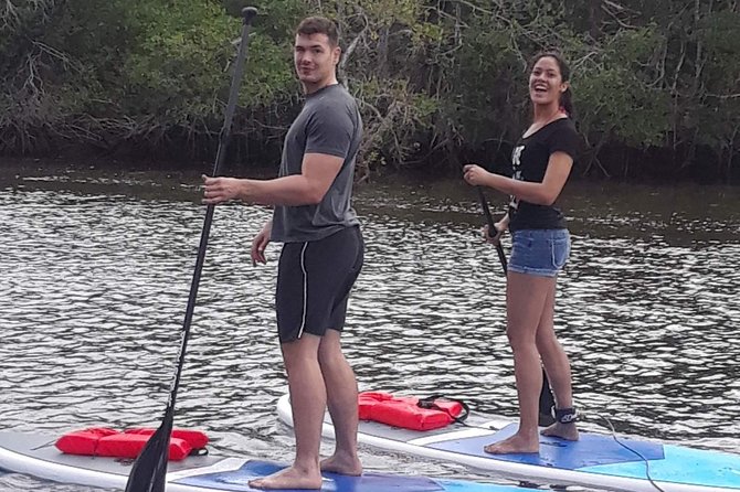 Naples Fl, Paddleboard Mangrove Forest Tour - What’s Included in the Paddleboard Experience