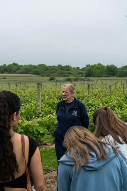 Newport: Vineyards Winery Tour + Tasting - The Newport Vineyards Location and Meeting Point