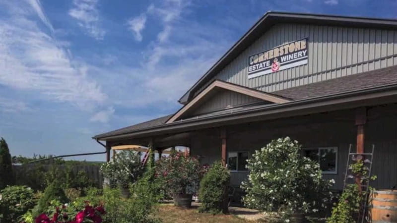 Niagara Falls: Public Niagara Wine Tour with Transportation - Convenient Pickup Locations in Niagara Falls and Niagara-on-the-Lake