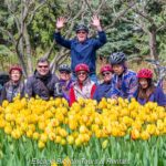Ottawa Spring Tulip Festival Bike Tour - Tulip Viewing at Dow’s Lake Pavilion