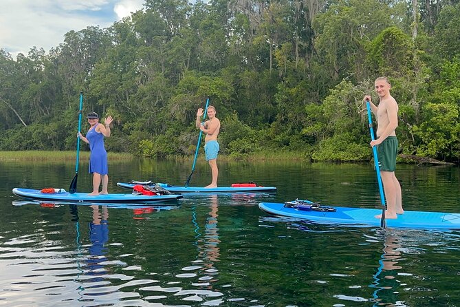 Paddleboard Rental  Three Sisters Springs & Manatee Refuge - Crystal River’s Best Paddleboarding Spot: Three Sisters Springs & Manatee Refuge