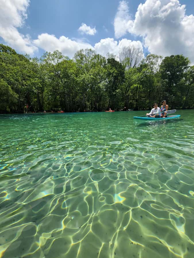 Panama City Beach: Cypress Springs Clear Kayak & Paddle Tour - Starting Point and Transportation to Holmes Creek