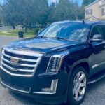 Port Canaveral Cruise Transfer to/from Orlando Intl Airport - Vehicle Comfort and Privacy