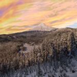 Portland: Mt. Hood Snowshoe Adventure with Lunch - Walking the Forested Ascent Along Cloud Cap Road