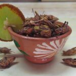 Premium Mezcal Tasting and Class - Engaging Overview of Mezcal’s Origins and Production