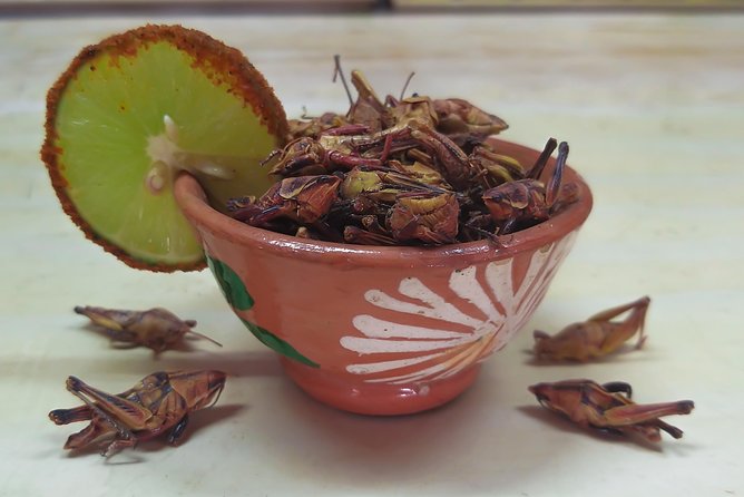 Premium Mezcal Tasting and Class - Engaging Overview of Mezcal’s Origins and Production