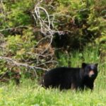 Private Boat Tour of Misty Fjords from Ketchikan - Setting out on a Scenic Journey in Misty Fjords National Monument