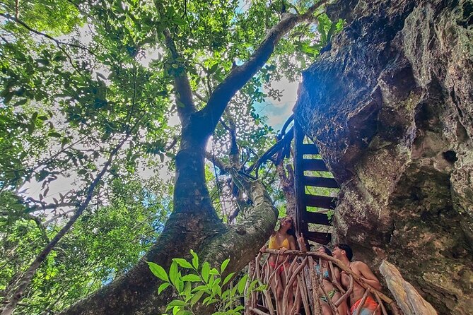 Private Cenote Experience, swim in the heart of the Mayan Jungle - Starting Point and Transportation to the Cenotes