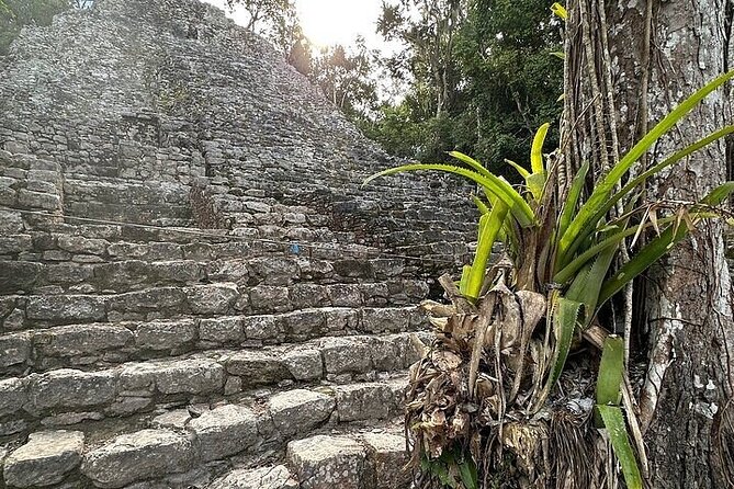 Private Coba Mayan Ruins Tour from Tulum - Meeting Point and Tour Schedule in Tulum