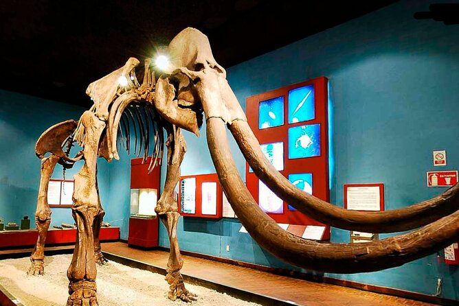 Private Day Adventure through the Guadalajara Museums and Michin Aquarium - Discovering the Instituto Cultural Cabañas