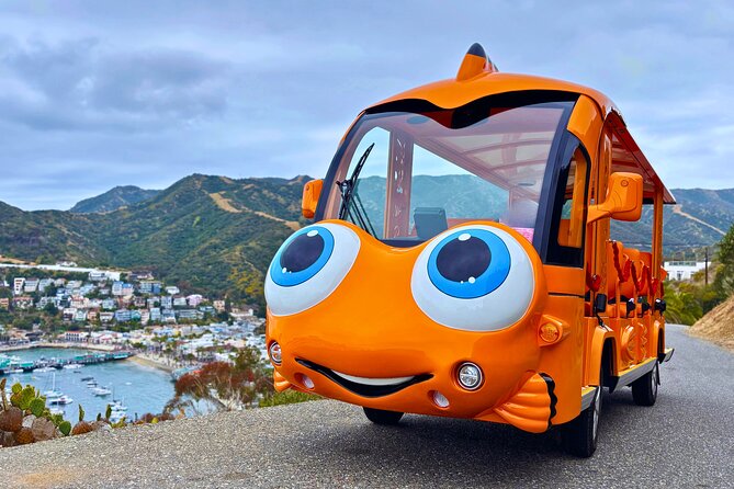 Private Guided City Tour up to 12 Passengers - The Fish-Shaped Golf Cart: A One-of-a-Kind Vehicle