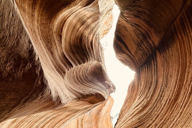 Private Guided Hike Through Buckskin Gulch Wire Pass - From Wire Pass to the Heart of Buckskin Gulch