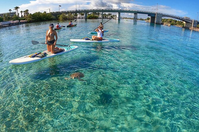 Private Jupiter Island Guided Paddle Boarding Tour - Starting Point and Meeting Details