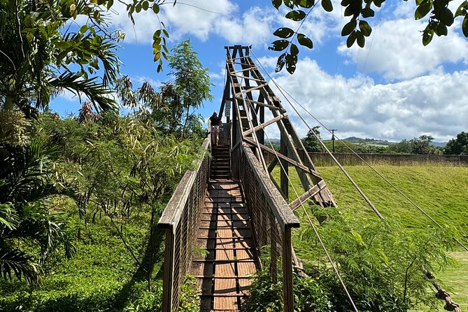 Private Kauai Island Tour : Waimea Canyon, Kalalau Lookout + More - Starting Point and Tour Structure: Pickup and Duration