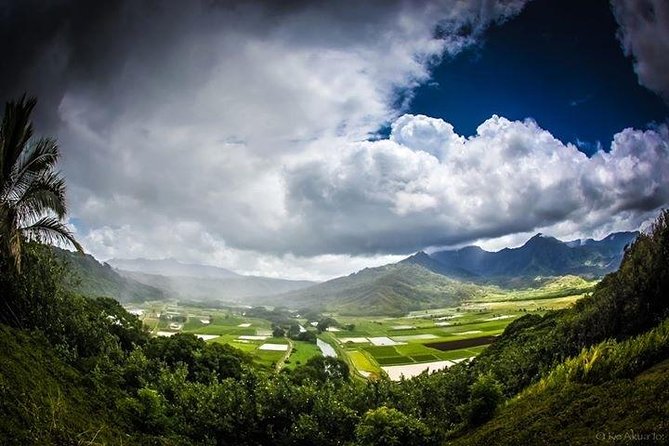 Private luxury tour of Oahu island - Starting Point: Convenient Pickup in Waikiki