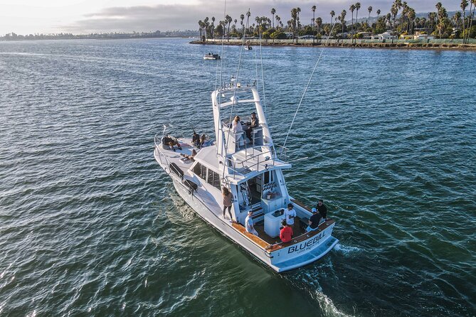 Private Luxury Whale Watching Tour in San Diego - Key Points