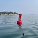 Private Small Group Wildlife Eco Tour in Kennebunkport - Expert Guidance by Captain Shawn Tibbetts