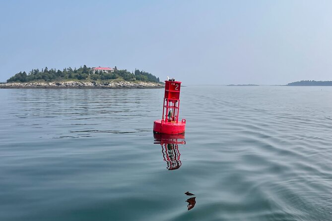 Private Small Group Wildlife Eco Tour in Kennebunkport - Expert Guidance by Captain Shawn Tibbetts