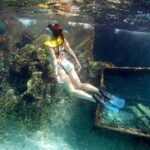 Private Snorkeling Adventure in Cancun - The Route Follows a Marine Current for Easier Swimming