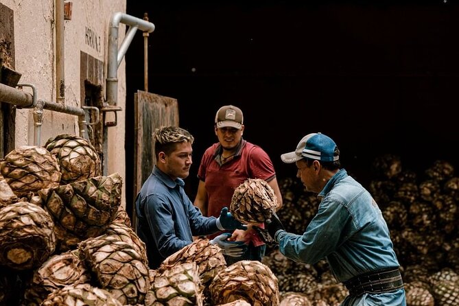 Private Tour Cascahuin Distillery and visit to Tequila - The Scenic Mirador del Tequila and Extreme Swing